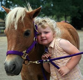 Traveling Pony Party